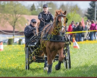 1POSIEUX 0437